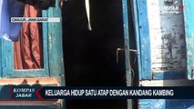 Miris! 1 Keluarga Di Cianjur Tinggal Seatap Dengan Kambing