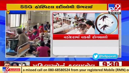 Vadodara sees rise in vector-borne diseases _ TV9News
