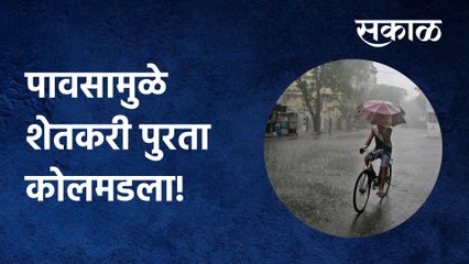 Beed Rain Updates: पावसामुळे शेतकरी पुरता कोलमडला! ऐका खचलेल्या बळीराजाची व्यथा