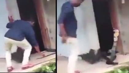 VIDEO: सांप पकड़ने वाले के सामने अचानक आ गया 14 फीट लंबा किंग कोबरा, देखिए फिर क्या हुआ ?