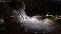 Relaxing Small Waterfall in the Forest. Calming Nature Sounds. With White Noise