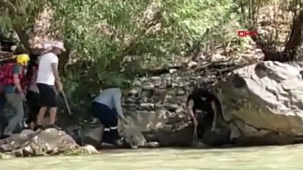 Zap Suyu'nda sürüklenen ayıyı rafting ekibi kurtardı