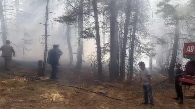 Son dakika haberi | Örtü yangınında bir hektarlık alan zarar gördü