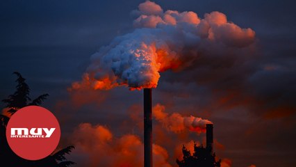 Descargar video: El cambio climático es la 'mayor amenaza' para la salud pública