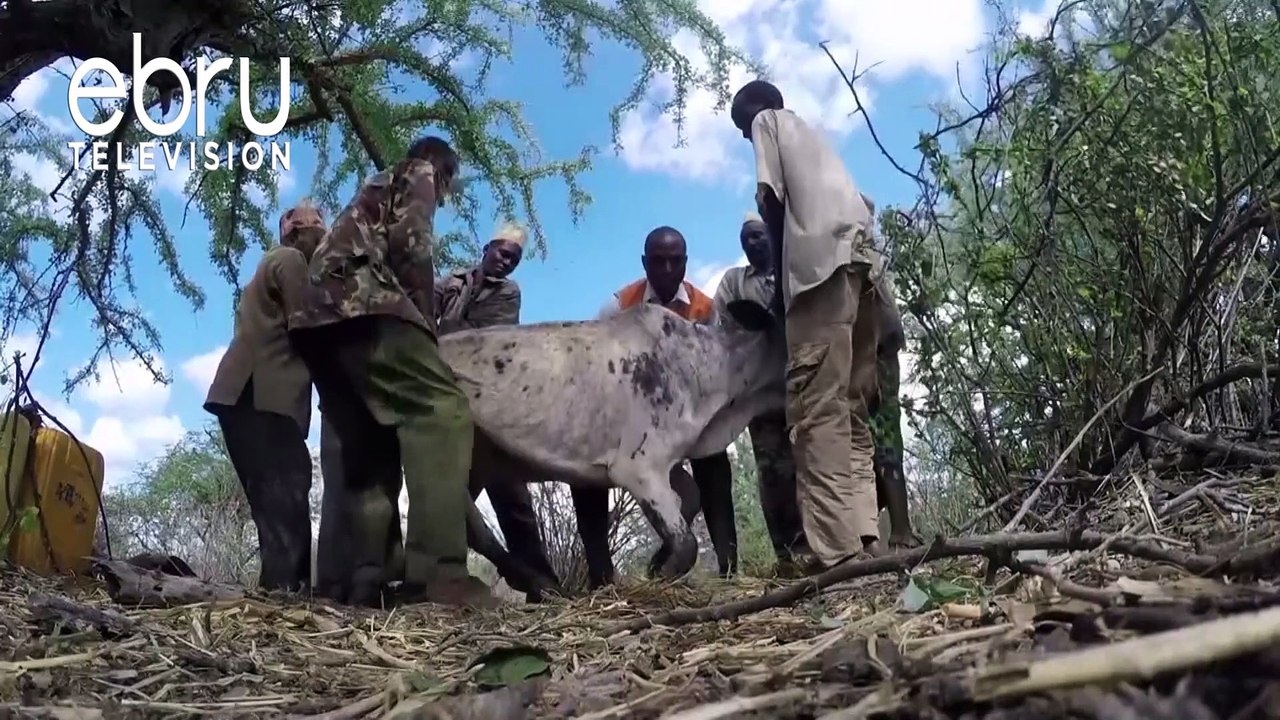 Samburu Residents Urged To Adopt Coping Mechanisms For Expected La Nina