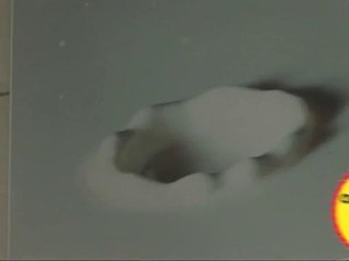 Tout savoir sur le fromage de chèvre