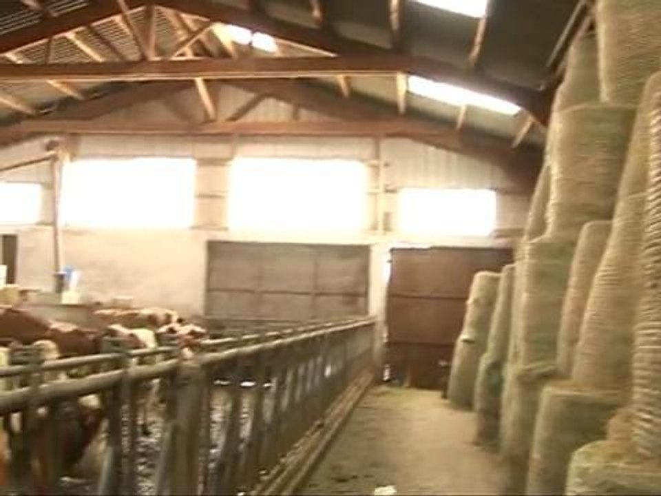 Rougissez de plaisir avec les fromages bleus