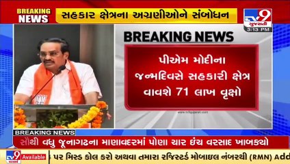 Tree plantation & Blood donation camp to be organized on the occasion of PM Modi's b'day_C.R.Patil