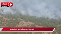 Manisa’da orman yangını: 4 helikopter müdahale ediyor