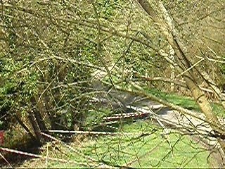 Cabourg rallye de la cote fleurie 2008