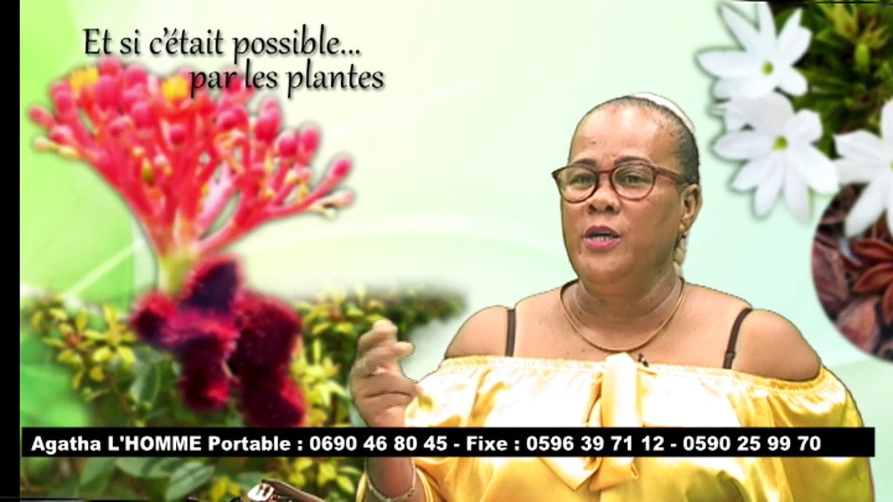 7 9 2021 ET SI C'ÉTAIT POSSIBLE PAR LES PLANTES