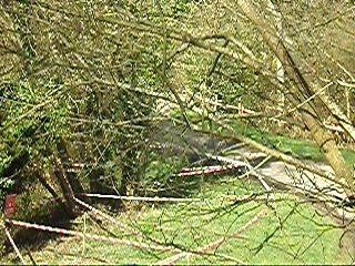 Lemonnier rallye de la cote fleurie 2008