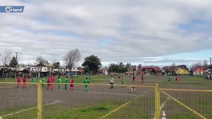 كلب يلعب في مباراة كرة قدم