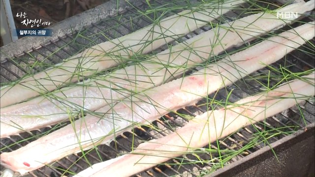 [자연 밥상] 스태미나 뿜뿜!! '맵단짠 양념'을 품은 자연인 표 '솔잎 장어구이'