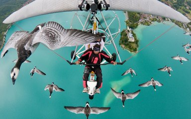 Annecy : les images sublimes d'un homme qui vole avec ses oies