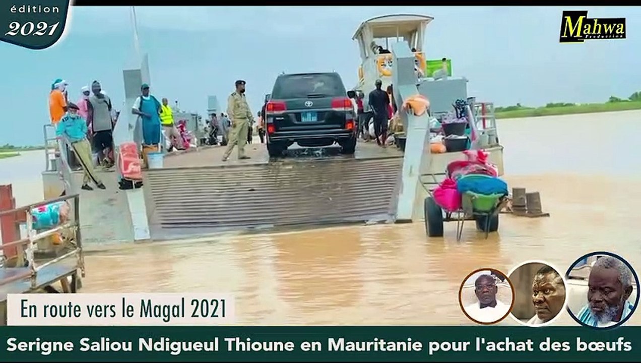 Magal 2021: Serigne Saliou Thioune convoie plus de 2800 bœufs à Touba