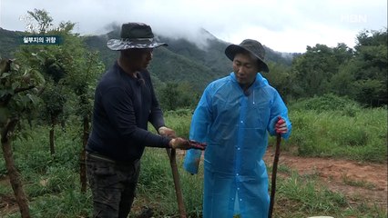 술 먹고 안 좋아진 간에 특효라는 OOO!! 하지만 이승윤의 표정이 심상치 않다?