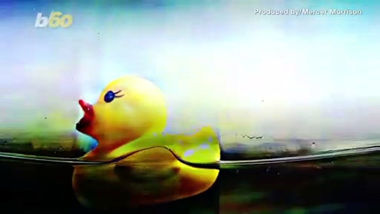 This Dog Owner Pranked His Sleeping Pup By Covering Him in Rubber Ducks