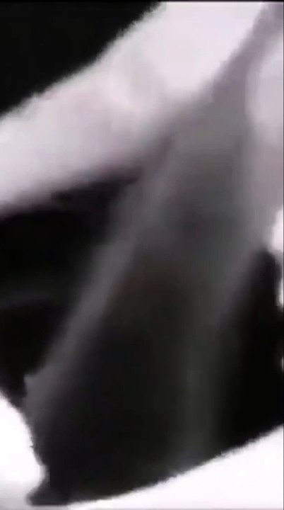 Alien Autopsy Leaked.