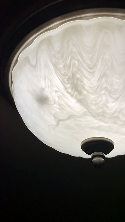 Massive Spider Circles Ceiling Light