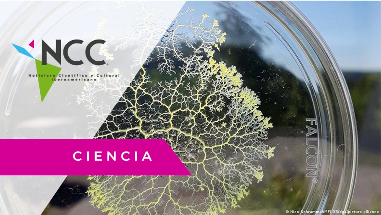 ¿Por qué se envían elementos orgánicos a la Estación Espacial?
