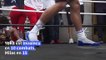 Boxe: Tony Yoka et Petar Milas s'échauffent à quelques jours de leur combat