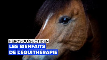Héros du quotidien : thérapies avec poney