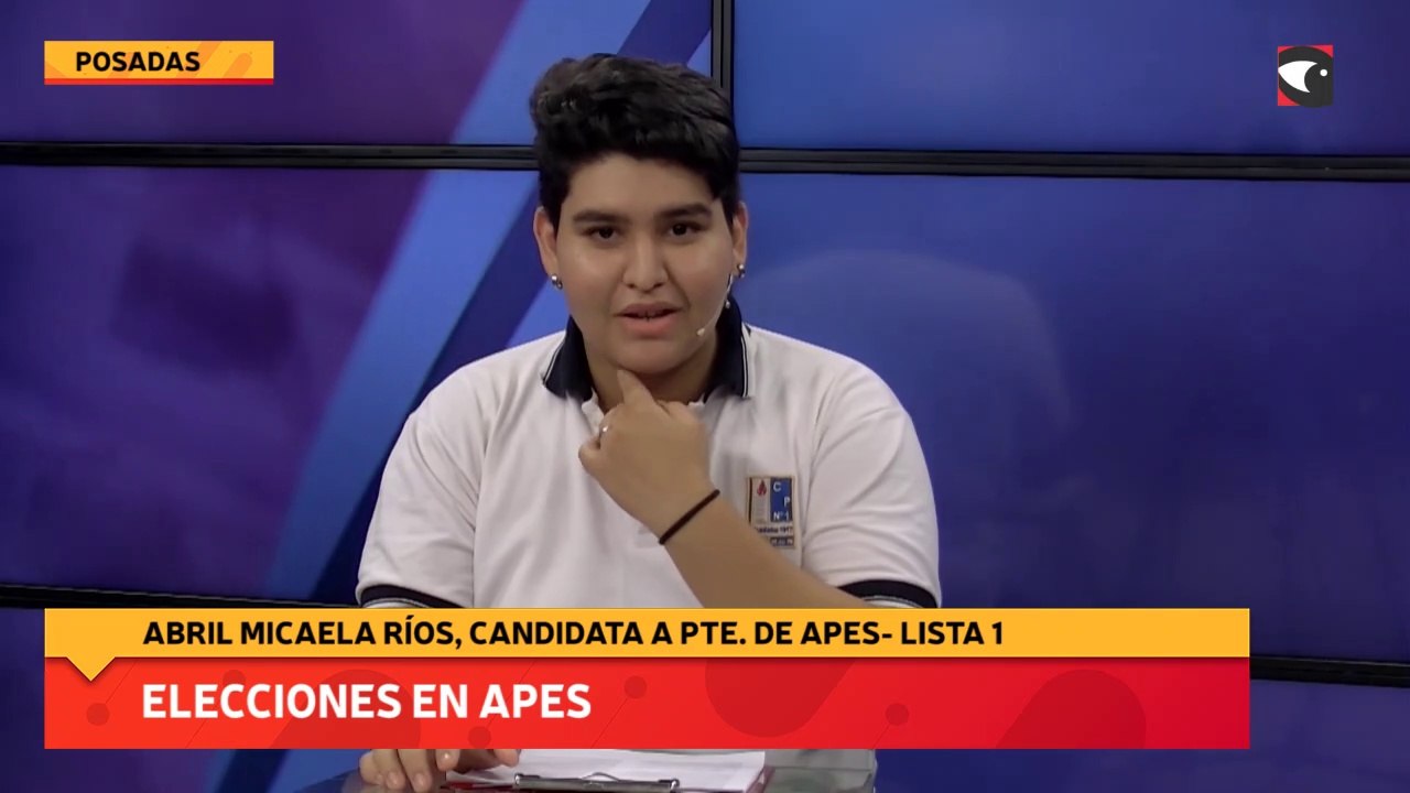 Elecciones en APES
