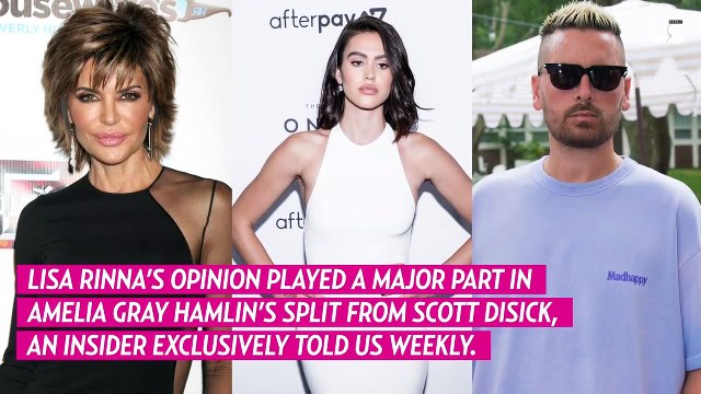Lisa Rinna Caused Scott Disick & Amelia Gray Hamlin Split After Kourtney Kardashian Drama?