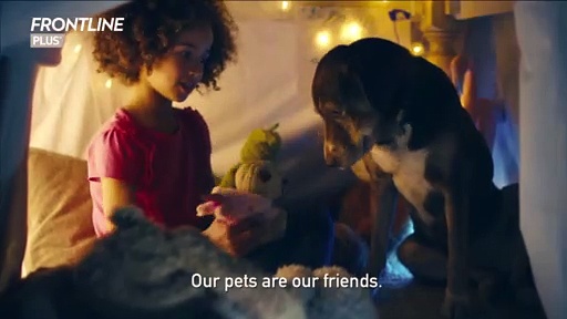 FRONTLINE Plus Flea & Tick Treatment for Cats and Ferrets