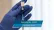 Candidatas a vacunas contra Covid-19  no necesitarán refrigeración y combatirían nuevas variantes