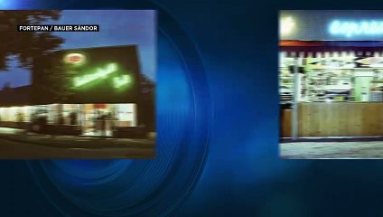 Már majdnem ezren írták alá a budapesti neonreklámokért indított petíciót