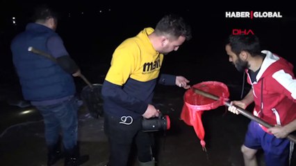 Bartın'da sahile toplananlar bu kez umduğunu bulamadı