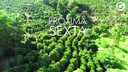 Café capixaba é destaque no Globo Repórter