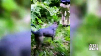 Öldürdü, ormanlık alana gömdü