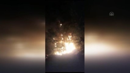 Son dakika haber! KAHRAMANMARAŞ - Çıkan orman yangını söndürüldü