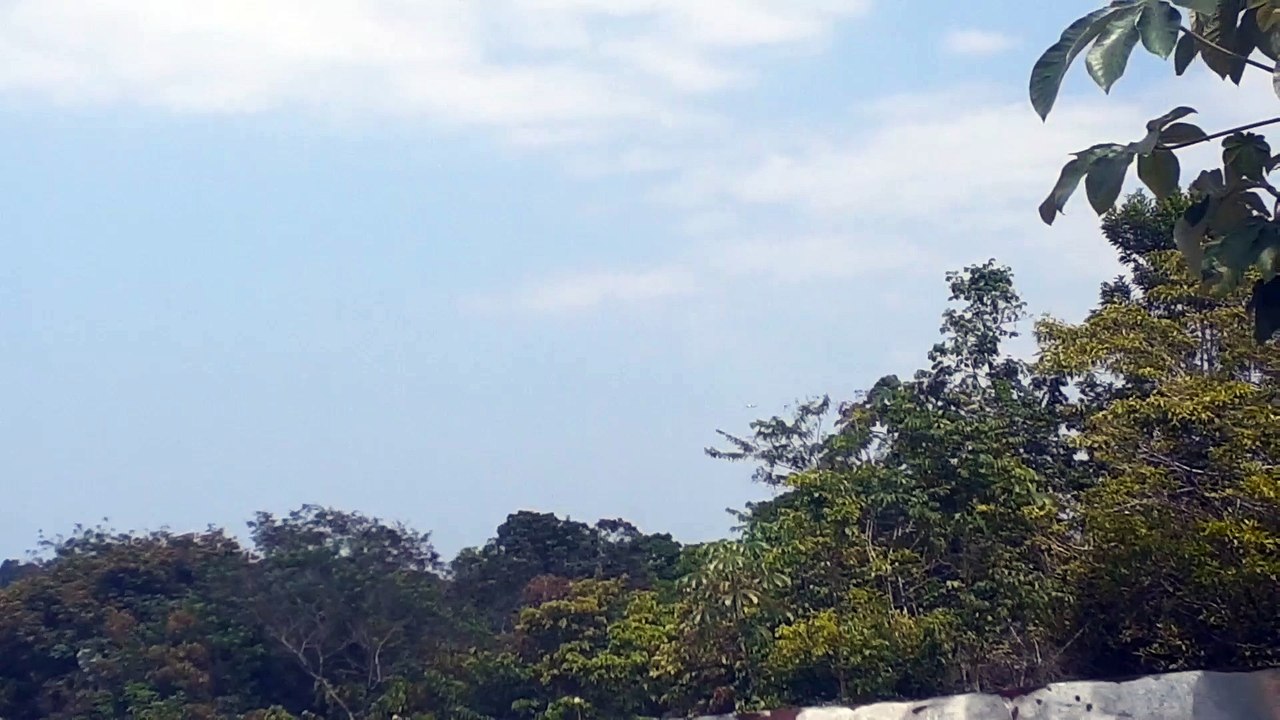 Airbus A330 PR-AIW na aproximação final antes de pousar em Manaus vindo de Campinas