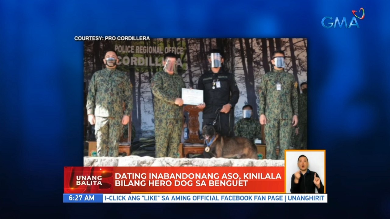 Dating inabandonang aso, kinilala bilang hero dog sa Benguet | UB