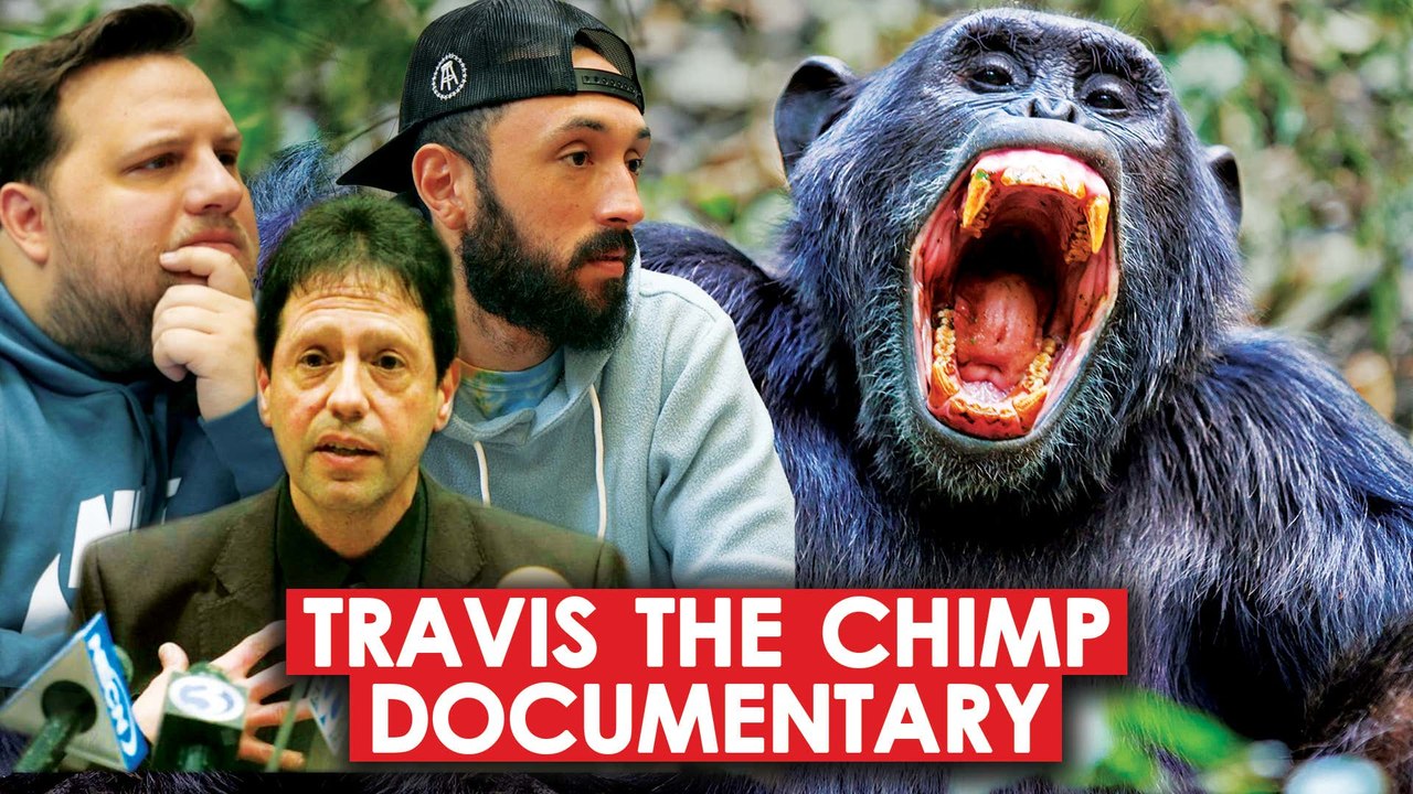 Brutal Chimpanzee Attack and The Cop That Intervened | The Story of Travis