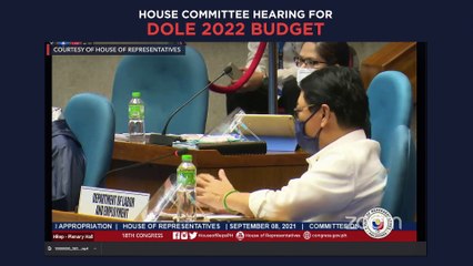 House committee hearing for DOLE 2022 budget