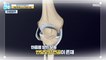 [HEALTHY] Cartilage without blood vessels. Once it's broken, it's over., 기분 좋은 날 210909