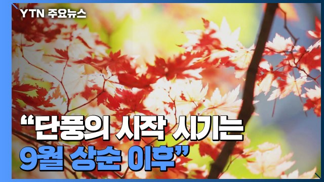 첫 단풍 예년보다 1∼3일 늦다...설악산 9월 28일 / YTN