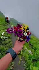 ||best Vlog in nepal  photographs view