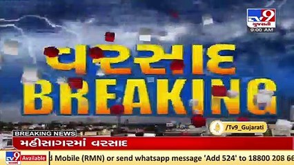 226 talukas of Gujarat reported rainfall in the past 24 hours _ TV9News