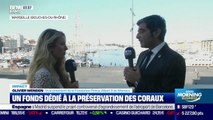 Impact : Un fonds dédié à la préservation des coraux par Cyrielle Hariel - 09/09