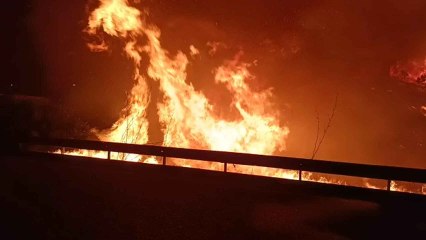 Vídeo: el incendio declarado en sierra Bermeja (Málaga)