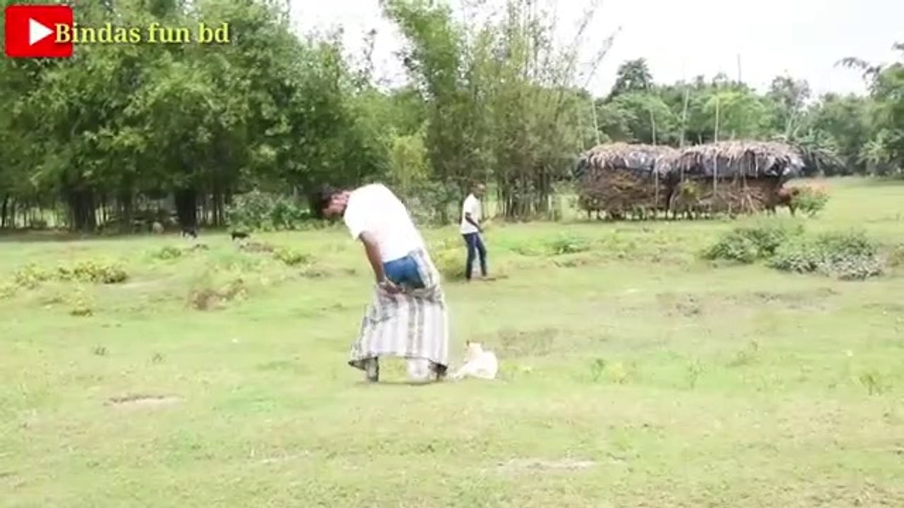 Must watch new funny video 2021 comedy video 2021 try to not lough By Bindas fun bd ( 360 X 640 )