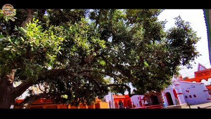 बैकुंठधाम, बैकथ्पुर, खुसरुपुर - मंदिर | Documentary on Baikunth Dham, patna| #DFT