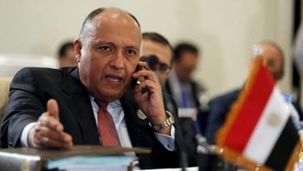 Mısır Dışişleri Bakanı Şükrü'den Türkiye açıklaması: Sorunların çözümünden tatmin olursak, ilerleme için kapı daha da açılacak