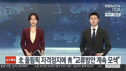 北 올림픽 자격정지에 靑 "남북 교류방안 계속 모색"